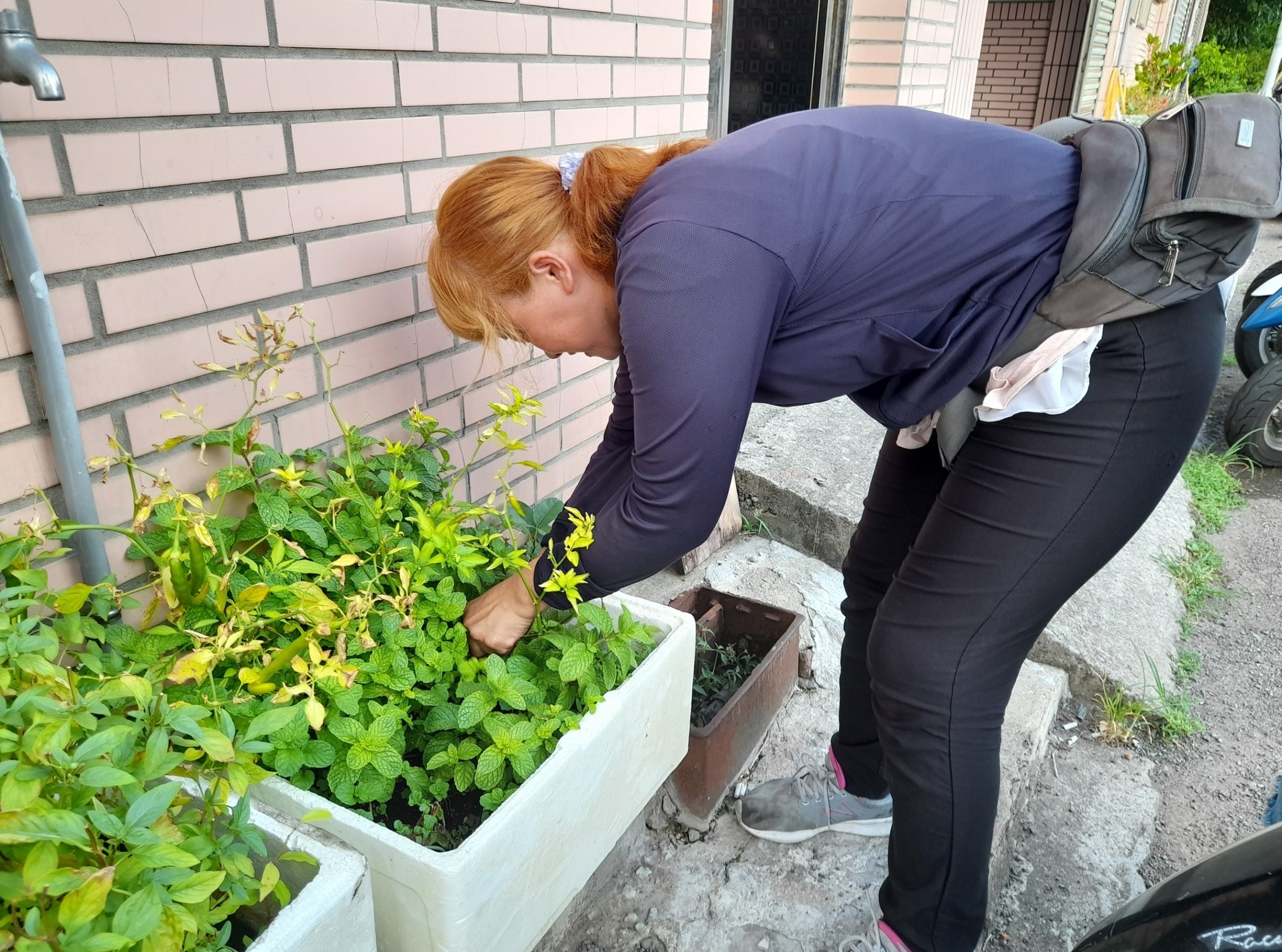 樂觀能為生命注入一縷清香